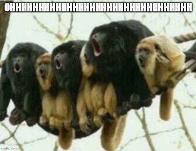 OHHHHHHH monkeys | OHHHHHHHHHHHHHHHHHHHHHHHHHHHHHHHH | image tagged in ohhhhhhh monkeys | made w/ Imgflip meme maker