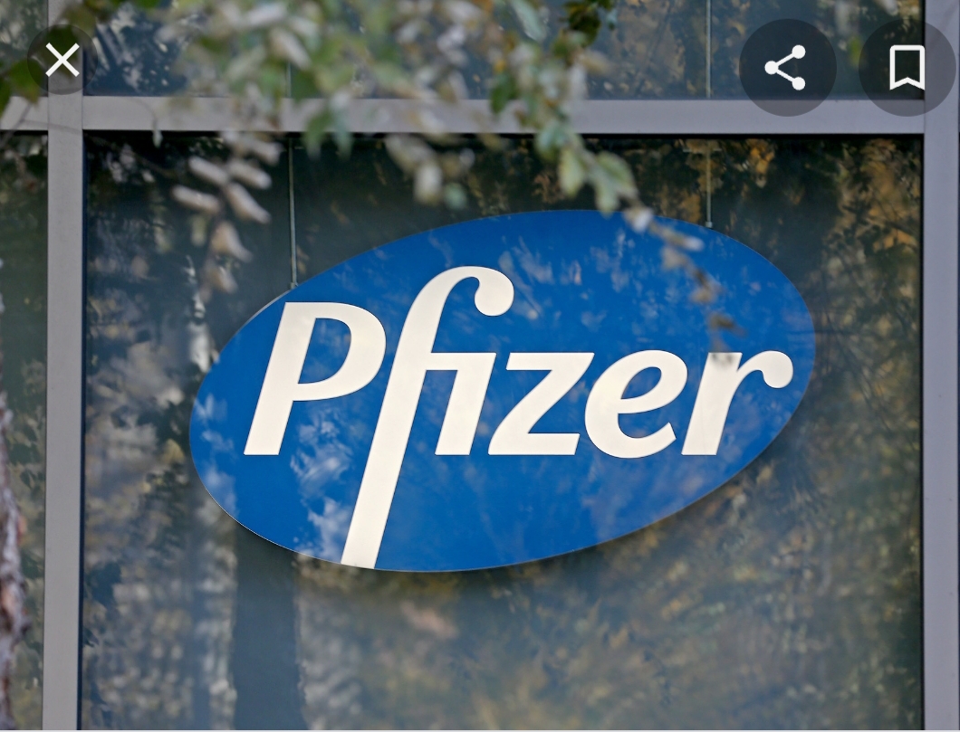 Pfizer Blank Meme Template