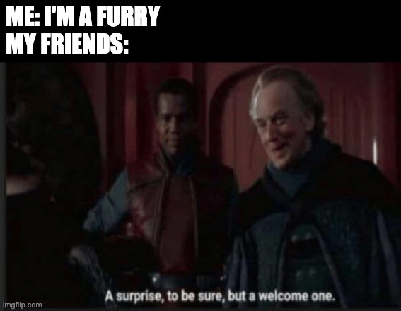 :3 | ME: I'M A FURRY
MY FRIENDS: | image tagged in a surprise to be sure but a welcome one | made w/ Imgflip meme maker