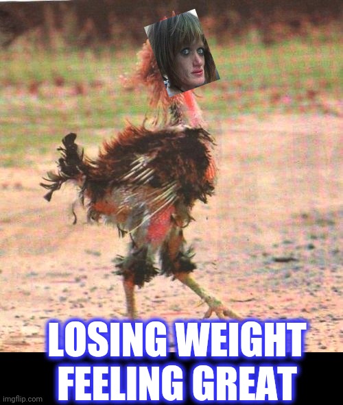 LOSING WEIGHT
FEELING GREAT | made w/ Imgflip meme maker