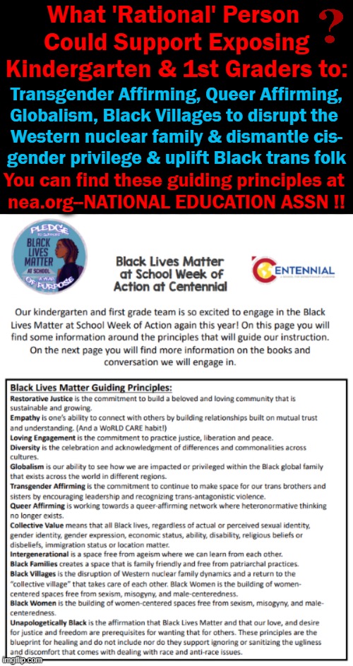 Indoctrination of OUR kids using OUR tax dollars! Beam me up! | What 'Rational' Person 
Could Support Exposing Kindergarten & 1st Graders to:; Transgender Affirming, Queer Affirming,
Globalism, Black Villages to disrupt the 
Western nuclear family & dismantle cis-
gender privilege & uplift Black trans folk; You can find these guiding principles at 
nea.org--NATIONAL EDUCATION ASSN !! | image tagged in politics,blm,national education assn,nuclear family attack,indoctrination,insanity | made w/ Imgflip meme maker