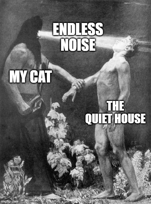 Schneider's Hypnose | ENDLESS NOISE; THE QUIET HOUSE; MY CAT | image tagged in schneider's hypnose,cats,memes | made w/ Imgflip meme maker