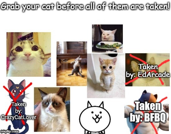 He asked for it in a wiki | Taken by: EdArcade | image tagged in cats | made w/ Imgflip meme maker