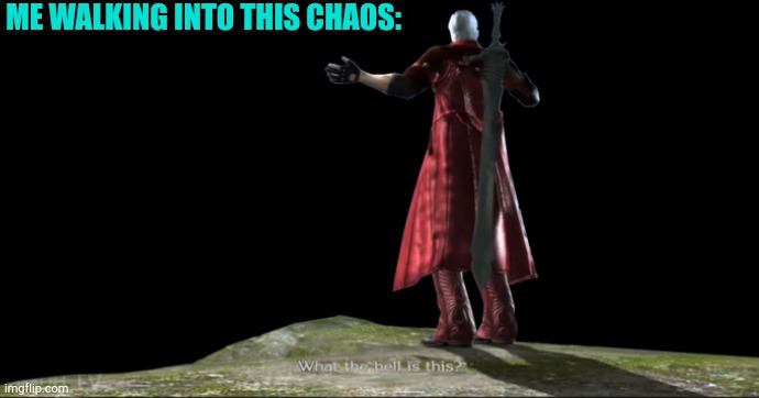 What the hell is this? - DMC4 | ME WALKING INTO THIS CHAOS: | image tagged in what the hell is this - dmc4 | made w/ Imgflip meme maker