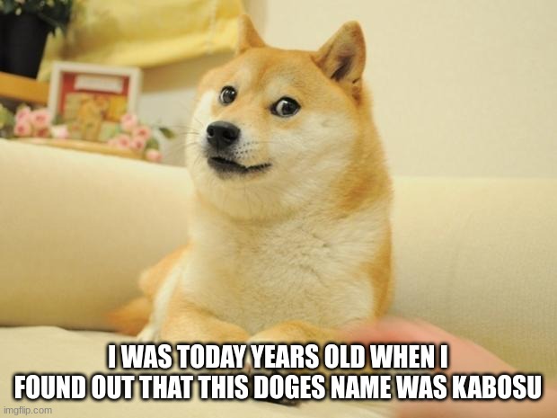 i never knew this! | I WAS TODAY YEARS OLD WHEN I FOUND OUT THAT THIS DOGES NAME WAS KABOSU | image tagged in memes,doge 2 | made w/ Imgflip meme maker