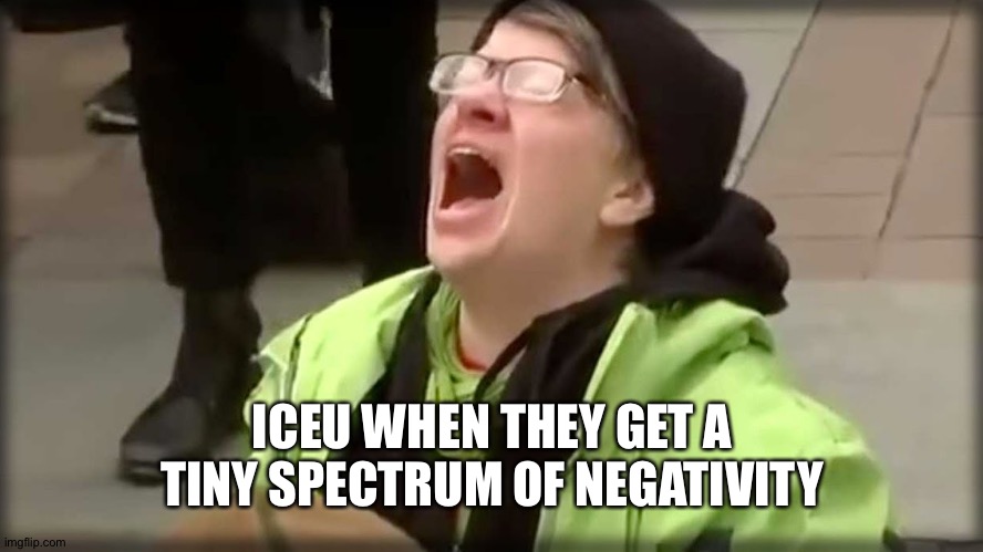 Trump SJW No | ICEU WHEN THEY GET A TINY SPECTRUM OF NEGATIVITY | image tagged in trump sjw no | made w/ Imgflip meme maker