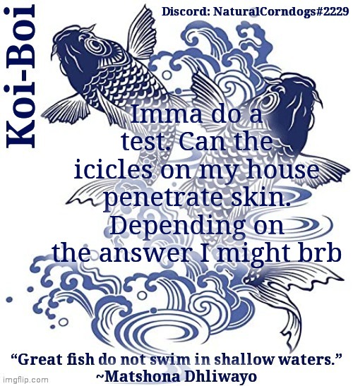 Koi-Boi's fish template | Imma do a test. Can the icicles on my house penetrate skin. Depending on the answer I might brb | image tagged in koi-boi's fish template | made w/ Imgflip meme maker