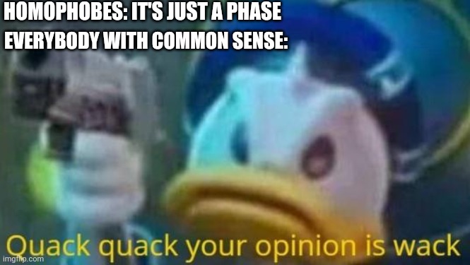 It's not a phase | HOMOPHOBES: IT'S JUST A PHASE; EVERYBODY WITH COMMON SENSE: | image tagged in quack quack your opinion is wack | made w/ Imgflip meme maker