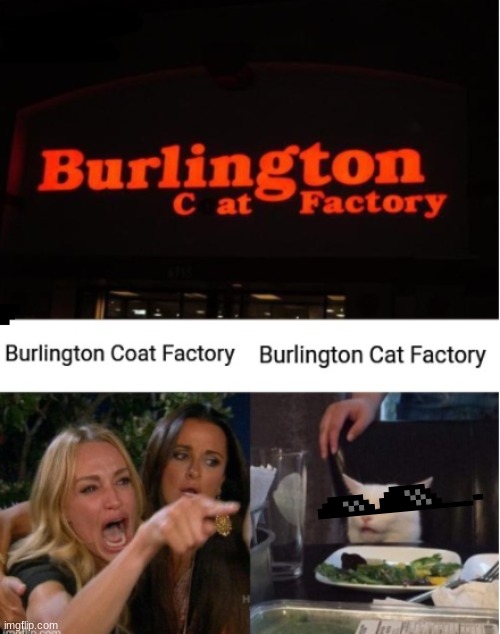 #meow cats | image tagged in woman yelling at cat | made w/ Imgflip meme maker