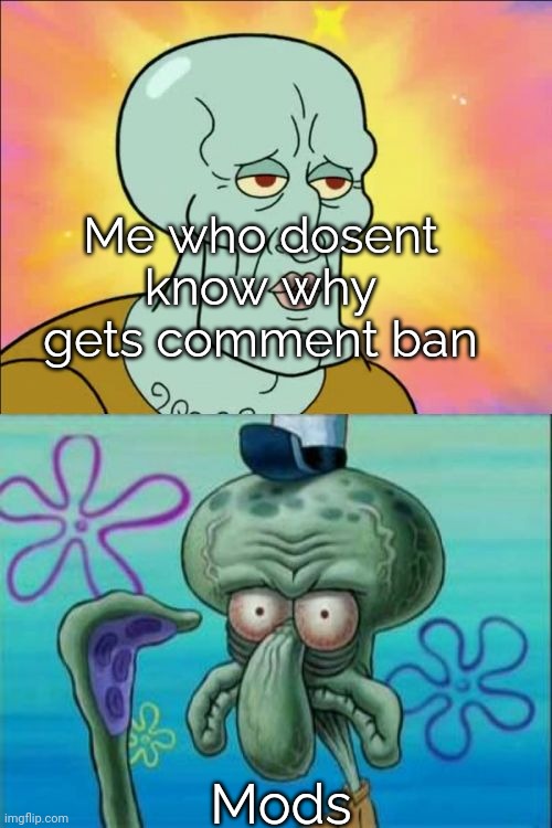 WHY | Me who dosent know why gets comment ban; Mods | image tagged in angery,i is mad,imgflip mods | made w/ Imgflip meme maker