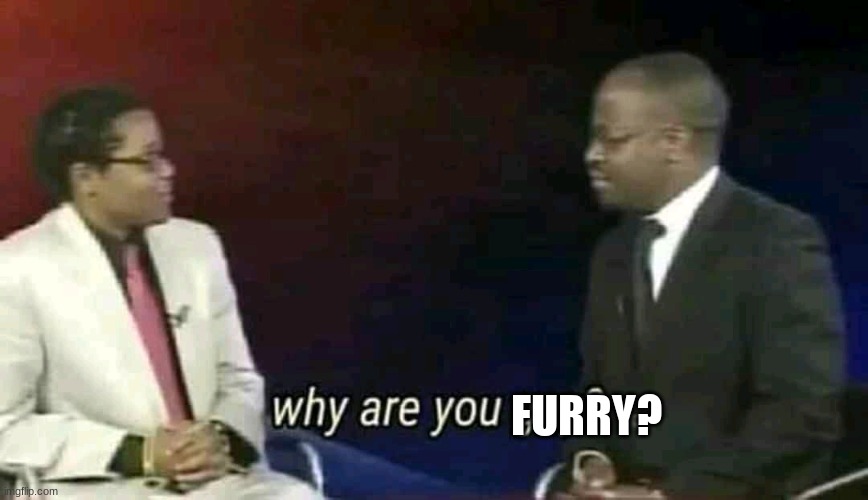 Why are you gay? | FURRY? | image tagged in why are you gay | made w/ Imgflip meme maker