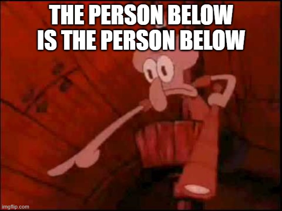 Squidward pointing | THE PERSON BELOW IS THE PERSON BELOW | image tagged in squidward pointing | made w/ Imgflip meme maker