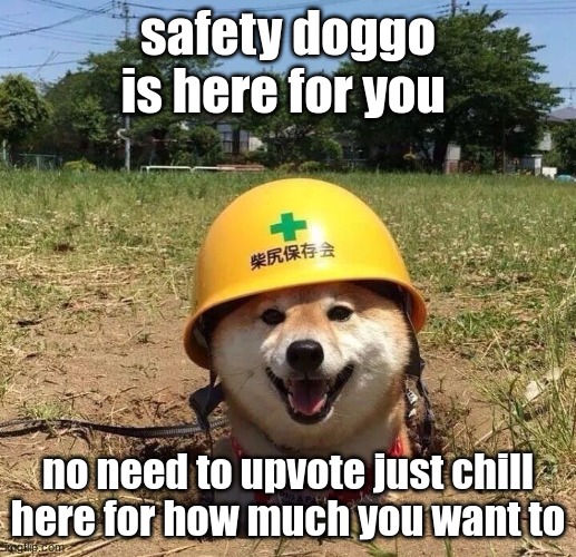 safety chill doggo | safety doggo is here for you; no need to upvote just chill here for how much you want to | image tagged in safety doggo | made w/ Imgflip meme maker