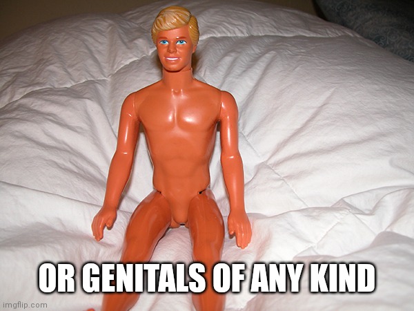 ken-doll | OR GENITALS OF ANY KIND | image tagged in ken-doll | made w/ Imgflip meme maker