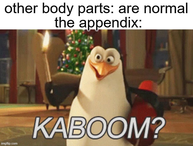 self destruct mode: on | other body parts: are normal; the appendix: | image tagged in penguins of madagascar kaboom,memes,funny | made w/ Imgflip meme maker