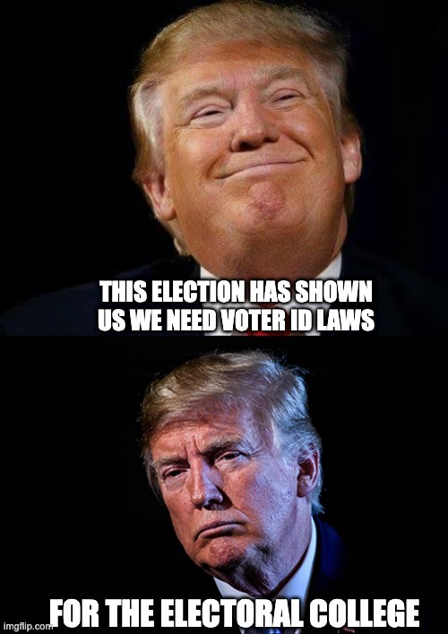 So many fake votes almost got counted | image tagged in election 2020 | made w/ Imgflip meme maker