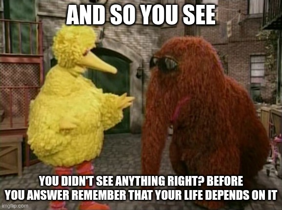 Big Bird And Snuffy Meme | AND SO YOU SEE YOU DIDN'T SEE ANYTHING RIGHT? BEFORE YOU ANSWER REMEMBER THAT YOUR LIFE DEPENDS ON IT | image tagged in memes,big bird and snuffy | made w/ Imgflip meme maker