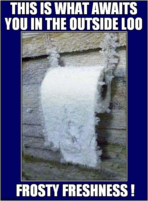In Minus Temperatures | THIS IS WHAT AWAITS YOU IN THE OUTSIDE LOO; FROSTY FRESHNESS ! | image tagged in freezing cold,frosty,toilet paper | made w/ Imgflip meme maker