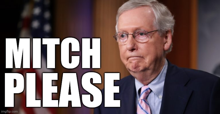 Mitch please | MITCH; PLEASE | image tagged in mitch mcconnell,fascist baby,antidemocratic | made w/ Imgflip meme maker