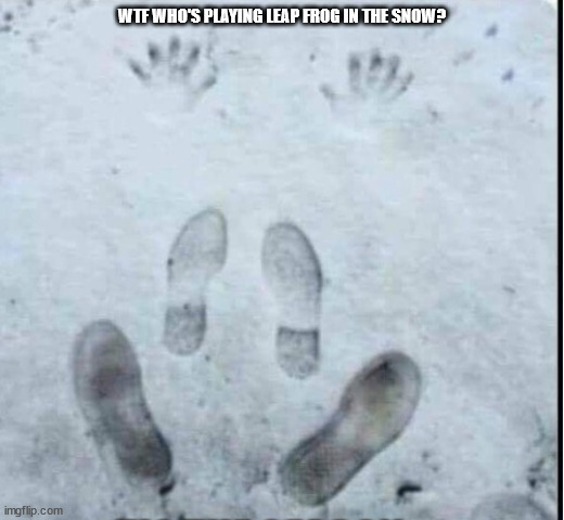 WTF WHO'S PLAYING LEAP FROG IN THE SNOW? | made w/ Imgflip meme maker