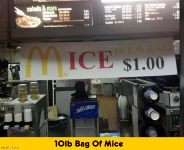 image tagged in funny memes | made w/ Imgflip meme maker