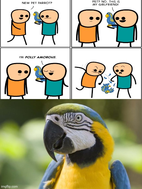 I'm Polly | image tagged in parrot,cyanide and happiness,funny | made w/ Imgflip meme maker