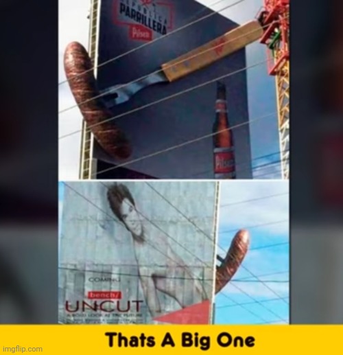 image tagged in funny memes | made w/ Imgflip meme maker