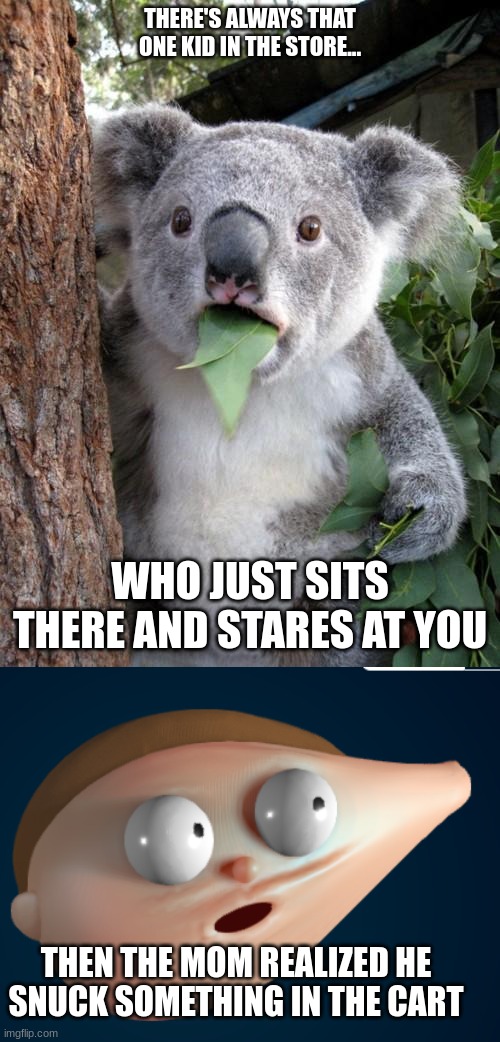THERE'S ALWAYS THAT ONE KID IN THE STORE... WHO JUST SITS THERE AND STARES AT YOU; THEN THE MOM REALIZED HE SNUCK SOMETHING IN THE CART | image tagged in memes,surprised koala | made w/ Imgflip meme maker