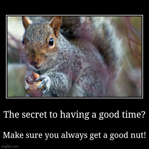 Good nuts | image tagged in funny,demotivationals | made w/ Imgflip demotivational maker