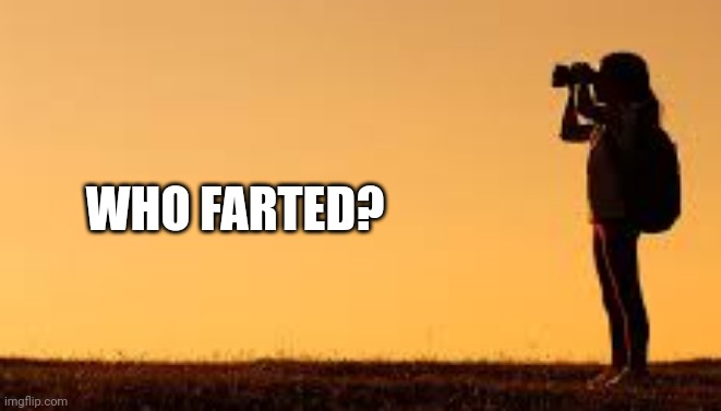 WHO FARTED? | image tagged in funny memes | made w/ Imgflip meme maker