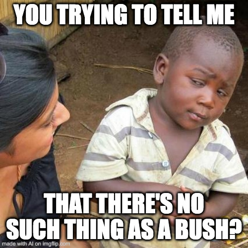 what? | YOU TRYING TO TELL ME; THAT THERE'S NO SUCH THING AS A BUSH? | image tagged in memes,third world skeptical kid | made w/ Imgflip meme maker
