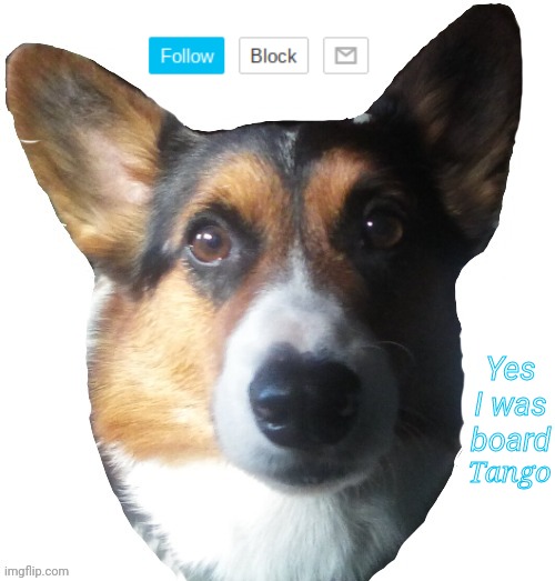 I did this lol | Yes I was board; Tango | image tagged in tango | made w/ Imgflip meme maker