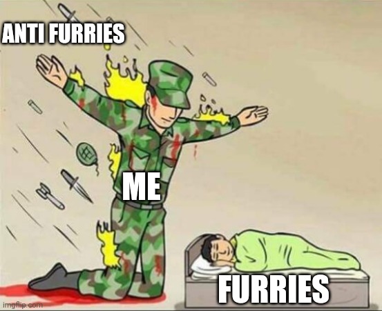 I will die for the furry community | ANTI FURRIES; ME; FURRIES | image tagged in soldier protecting sleeping child | made w/ Imgflip meme maker