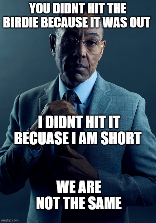 Gus Fring we are not the same | YOU DIDNT HIT THE BIRDIE BECAUSE IT WAS OUT; I DIDNT HIT IT BECUASE I AM SHORT; WE ARE NOT THE SAME | image tagged in gus fring we are not the same | made w/ Imgflip meme maker