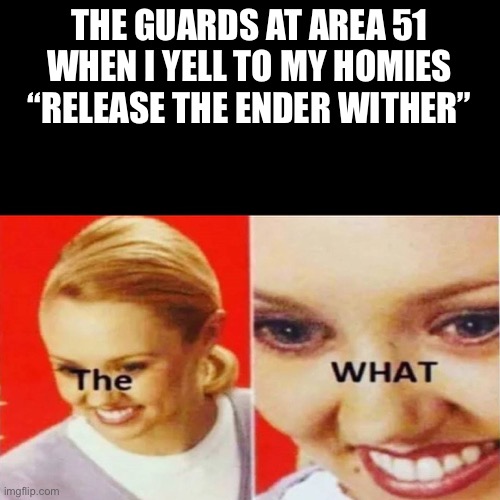 The What | THE GUARDS AT AREA 51 WHEN I YELL TO MY HOMIES “RELEASE THE ENDER WITHER” | image tagged in the what | made w/ Imgflip meme maker