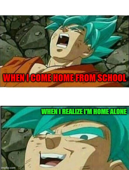 Home Alone | WHEN I COME HOME FROM SCHOOL; WHEN I REALIZE I'M HOME ALONE | image tagged in dragon ball z | made w/ Imgflip meme maker