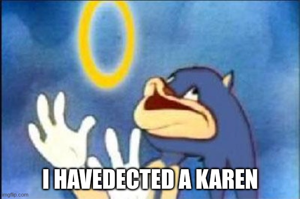 Sonic derp | I HAVEDECTED A KAREN | image tagged in sonic derp | made w/ Imgflip meme maker