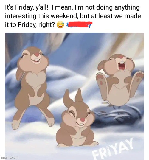 image tagged in funny memes | made w/ Imgflip meme maker