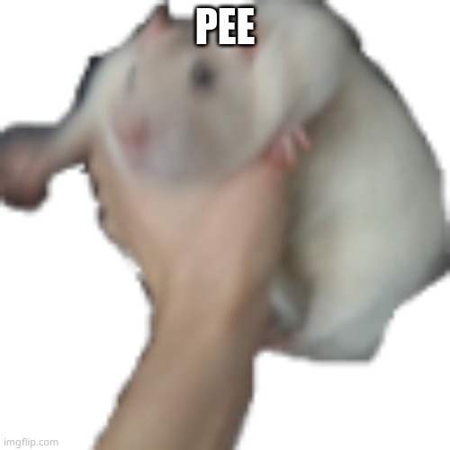 pee | PEE | image tagged in the he | made w/ Imgflip meme maker