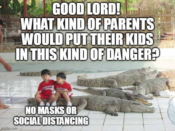 Some People Shouldn't Be Parents | GOOD LORD! 
WHAT KIND OF PARENTS WOULD PUT THEIR KIDS IN THIS KIND OF DANGER? NO MASKS OR SOCIAL DISTANCING | image tagged in alligators,facemask,social distancing,brothers,danger | made w/ Imgflip meme maker