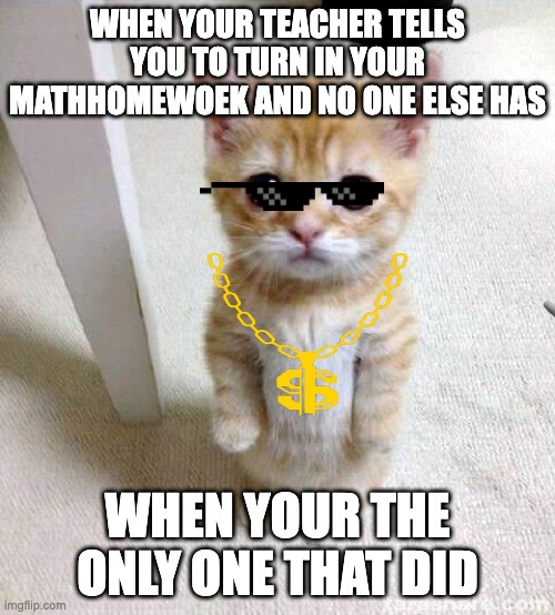 Cute Cat Meme | WHEN YOUR TEACHER TELLS YOU TO TURN IN YOUR MATHHOMEWOEK AND NO ONE ELSE HAS; WHEN YOUR THE ONLY ONE THAT DID | image tagged in memes,cute cat | made w/ Imgflip meme maker