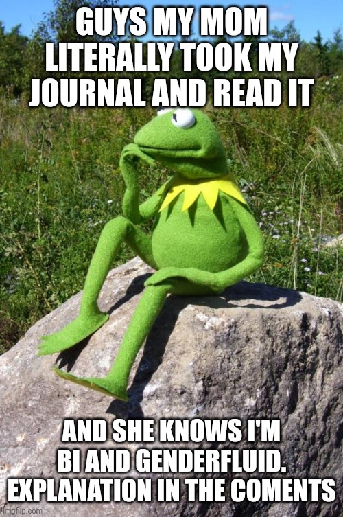 It sucks |  GUYS MY MOM LITERALLY TOOK MY JOURNAL AND READ IT; AND SHE KNOWS I'M BI AND GENDERFLUID. EXPLANATION IN THE COMENTS | image tagged in kermit-thinking | made w/ Imgflip meme maker