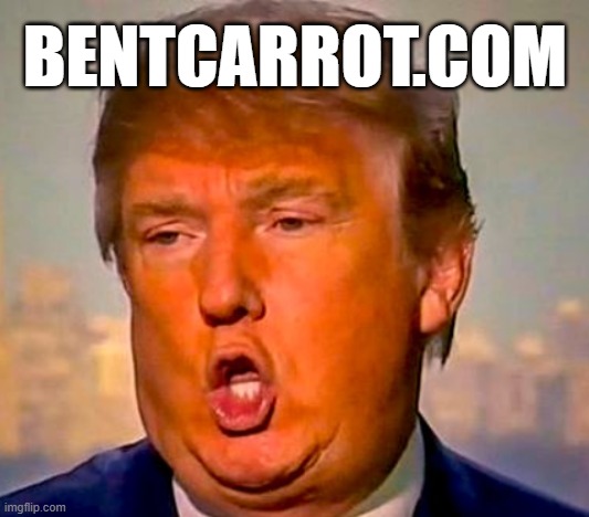 bent carrot | image tagged in bent carrot,trump,nevertrump,lol,idiot,orange trump | made w/ Imgflip meme maker