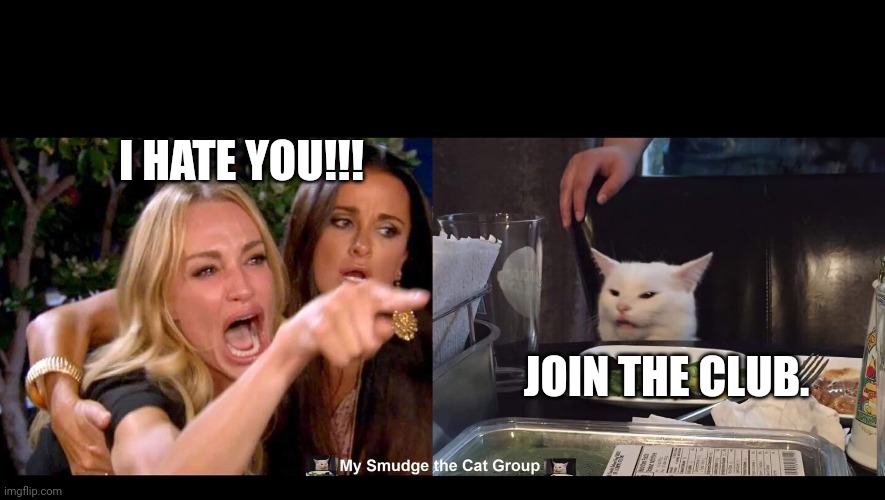 I HATE YOU!!! JOIN THE CLUB. | image tagged in smudge the cat | made w/ Imgflip meme maker