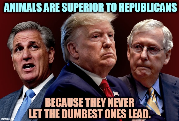 Dumb, da DumbDumb! | ANIMALS ARE SUPERIOR TO REPUBLICANS; BECAUSE THEY NEVER LET THE DUMBEST ONES LEAD. | image tagged in mccarthy trump mcconnell evil bad for america,animals,smart,leadership,republicans,dumb and dumber | made w/ Imgflip meme maker