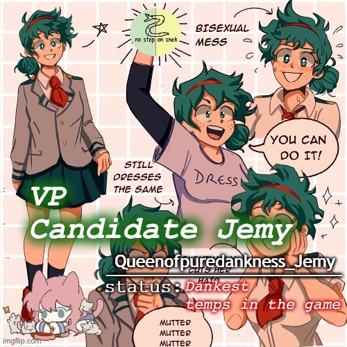 VP candidate Jemy | image tagged in vp candidate jemy | made w/ Imgflip meme maker