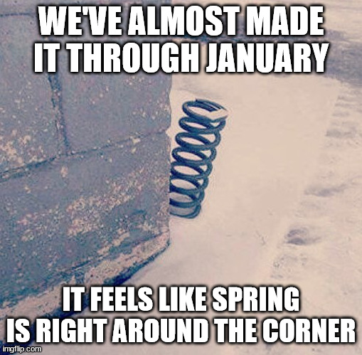 Spring pun | WE'VE ALMOST MADE IT THROUGH JANUARY; IT FEELS LIKE SPRING IS RIGHT AROUND THE CORNER | image tagged in spring around the corner | made w/ Imgflip meme maker