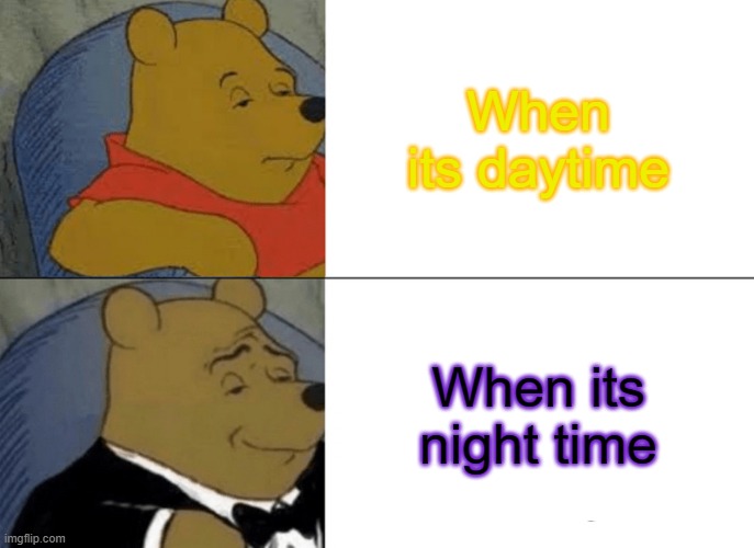 Tuxedo Winnie The Pooh | When its daytime; When its night time | image tagged in memes,tuxedo winnie the pooh | made w/ Imgflip meme maker