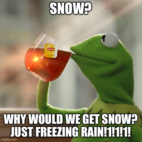Why |  SNOW? WHY WOULD WE GET SNOW? JUST FREEZING RAIN!1!1!1! | image tagged in memes,but that's none of my business,kermit the frog,winter,snow | made w/ Imgflip meme maker