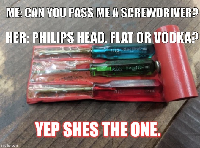 Screwdrivers | ME: CAN YOU PASS ME A SCREWDRIVER? HER: PHILIPS HEAD, FLAT OR VODKA? YEP SHES THE ONE. | image tagged in tools | made w/ Imgflip meme maker
